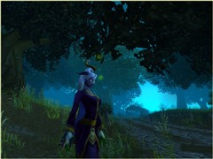 My priest in Duskwood