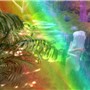 in the rainbow