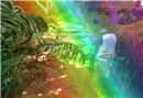 in the rainbow
