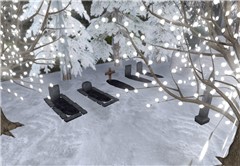 Snowy graves, winter goth