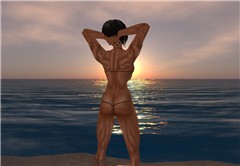 Looking at the sunset