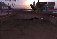 Never bother a biker!