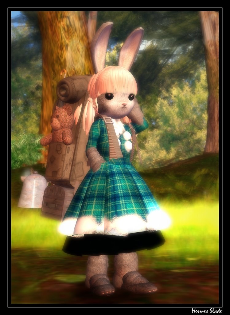 383 Kawaii's dreams 02