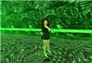 Follow the green line