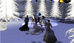 irah 2009_009