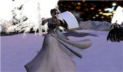 irah 2009_004