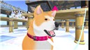 wanko_001
