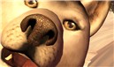 The Dog