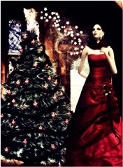 A Xmas Wish