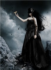 The black bride and the white bird