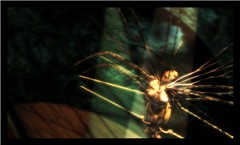 intrappolata