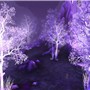 Crystalsong woods