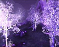 Crystalsong woods