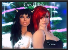 Happy Holidays 2008