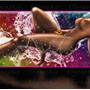 fearceheader2watermarked