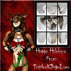 ReindeerWindow copy