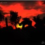 red sunset