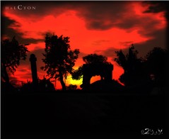red sunset
