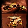 The Auroran Project by Sextan