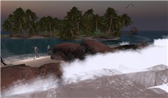 Second Life Waves...... - Koinup Burt
