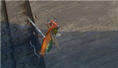 Bug in SL - Koinup Burt