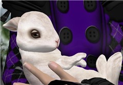 I haz BUNNEH!