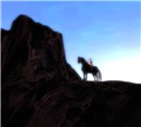 I love my horse 3