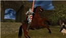 dark isle knight - watcher Castaignede