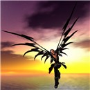 Fly now