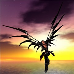 Fly now