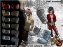 *BR* Moonboots