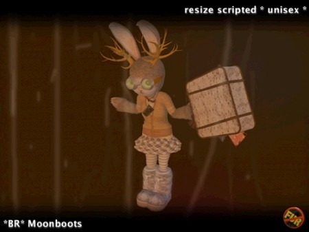 *BR* Moonboots