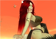 There are so many bugs in SL!