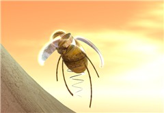 Technobug