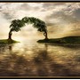 A New Beginning