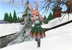 Story of a bunny