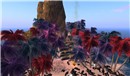 Amorio a nice sim to take your photos - Koinup Burt