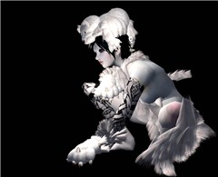 white bear