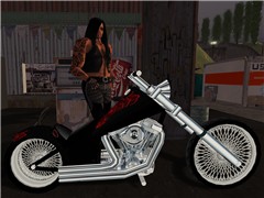 BigDog1