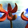 Flowery Seat in Hoobinoo Valley - Vlad Bjornson