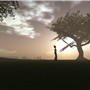 Tree Watching... - Talia Tokugawa