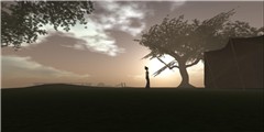 Tree Watching... - Talia Tokugawa