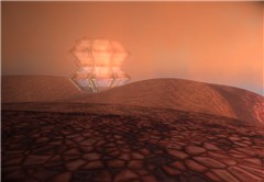Planet Mongo rose