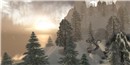 Cu Mara: Scenic - Talia Tokugawa