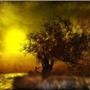 Night Is Falling