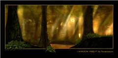 CHAKRYN FOREST By Panteleimon ( redux )