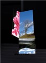 Sun & Winter