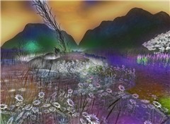 Unintended Sunset