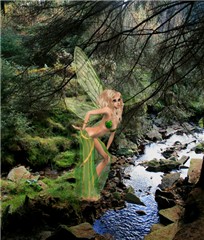 fae siting1 copy