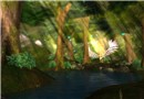 Chakryn Forest (01)